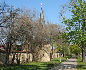 Soemmerda Stadtmauer