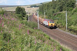Southbound timber train at Greenholme - geograph.org.uk - 738830