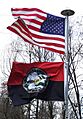 Stephens County Georgia USA Flag Flying