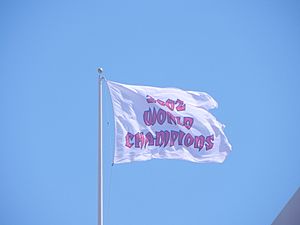 Tampabaybucs2002flag