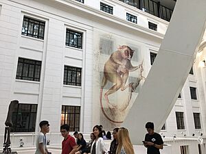 Tarsier (Inside Philippine National Museum of Natural History)