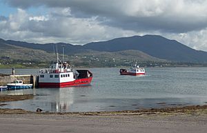 The Bere Island ferry (geograph 6250317)