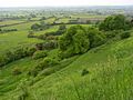 The view from Broad Town White Horse - geograph.org.uk - 838312