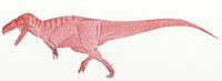 Torvosaurus gurneyi.jpg