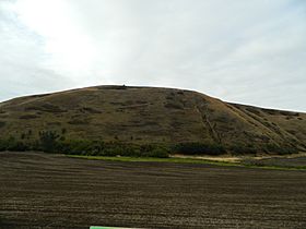 Travois Trail To Blue Mountains - Plowed field is the trail from the West.jpg
