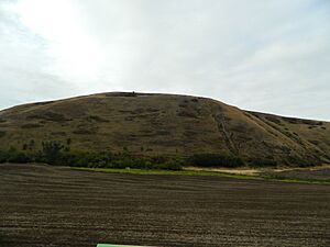 Travois Trail To Blue Mountains - Plowed field is the trail from the West