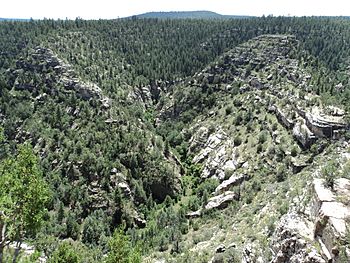 Walnut Canyon National Monument.JPG