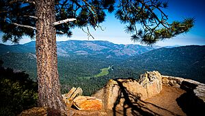 Wawona Point View