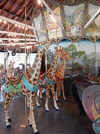 Weona Park Carousel Interior 06