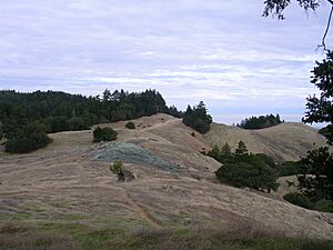 West of Mount Tam