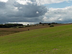 Wether Down - geograph.org.uk - 228343