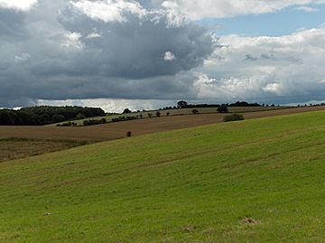 Wether Down - geograph.org.uk - 228343.jpg