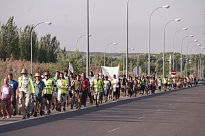 999 Marcha indignada en Aranjuez