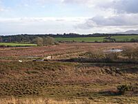 A view across Cors Bodeilio, Anglesey, Wales.jpg