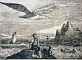Albatroz - Panorama 1837