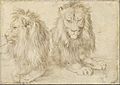 Albrecht Dürer - Two seated lions - Google Art Project