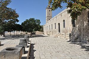 Aleppo citadel Museum laz