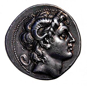 Alexander-Coin