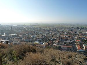 Alfajarín - Vista desde el castillo.JPG