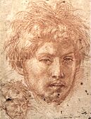 Andrea del Sarto - Head of a Young Man - WGA0384