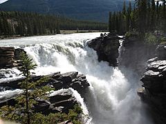 Athabasca Falls 2008