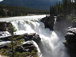 Athabasca Falls 2008