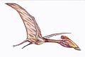 Bakonydraco1DB