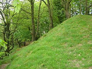 Bank at Castle Neroche - geograph.org.uk - 168660