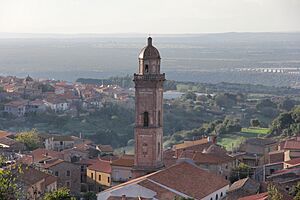 Busachi - Chiesa di Sant'Antonio da Padova (36).JPG