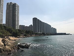 Butterfly Bay, Tuen Mun, NT, Hong Kong in 2017