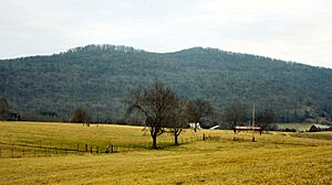 Cardwell-mountain-tn1
