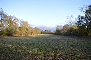 Chettisham Meadow 1