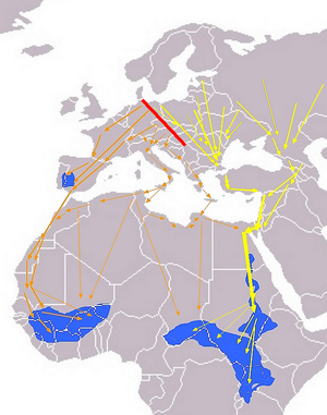 Ciconia nigra Eurasian Migration
