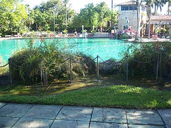 Coral Gables FL Venetian Pool04.jpg