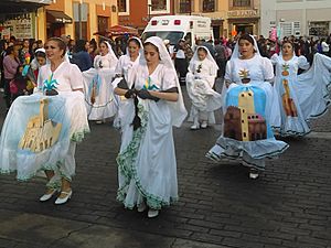 Desfile Magia de los Carnavales de Hidalgo en Pachuca de Soto (2018). 193