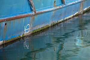 Dias ferry waterline 2