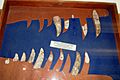 Dientes fósiles de Giganotosaurus en el museo de El Chocón