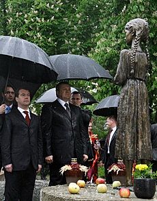Dmitry Medvedev in Kyiv - 17 May 2010
