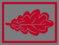 EG 00 01 Grupo C2