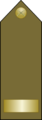 EgyptianArmyInsignia-ChiefWarrantOfficer