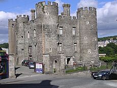 Enniscorthy castle