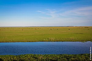 Estação Ecológica do Taim