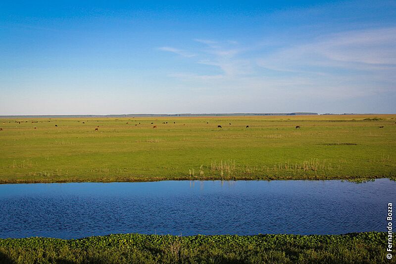 Estação Ecológica do Taim