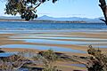Exploring low tide in morning light at Daniel's Bay, Lunawanna (33069986474)