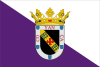 Flag of Valencia de Don Juan / Coyanza