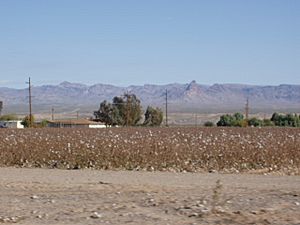 Fort Mojave Res.JPG