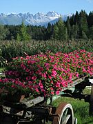 From the minigolf, Seefeld in Tirol A