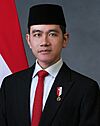 Gibran Rakabuming 2024 official portrait.jpg