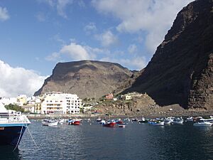 Gomera vueltas