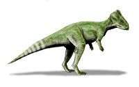 Graciliceratops BW.jpg